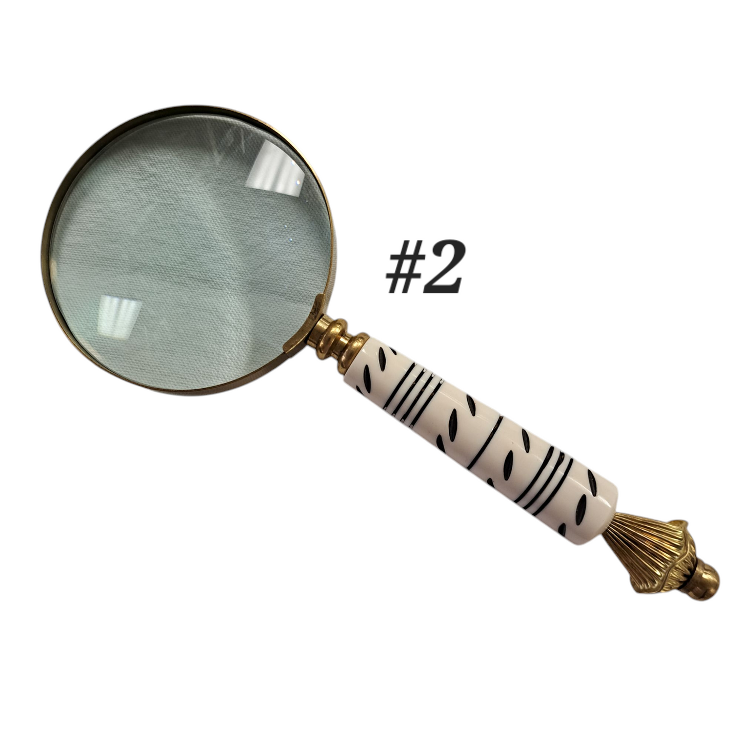 Small Bone Magnifying Glass