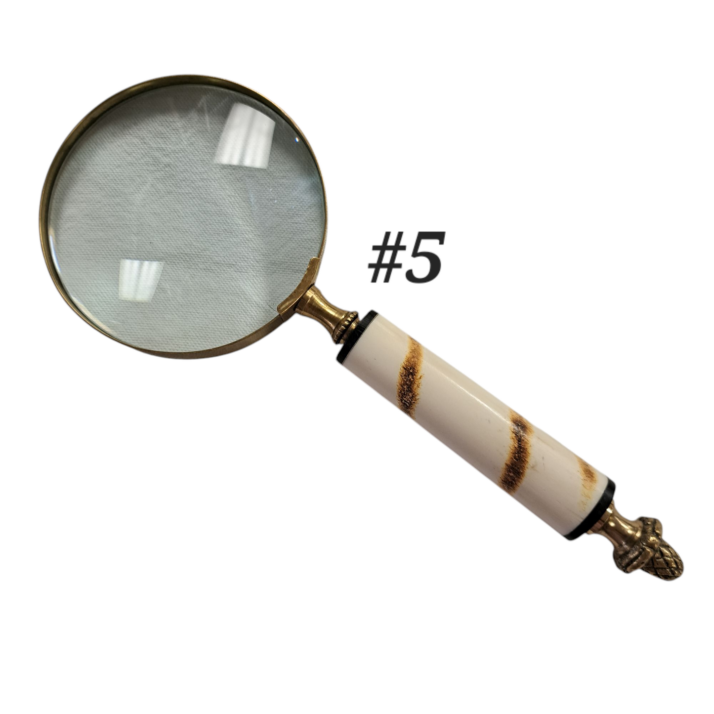 Small Bone Magnifying Glass