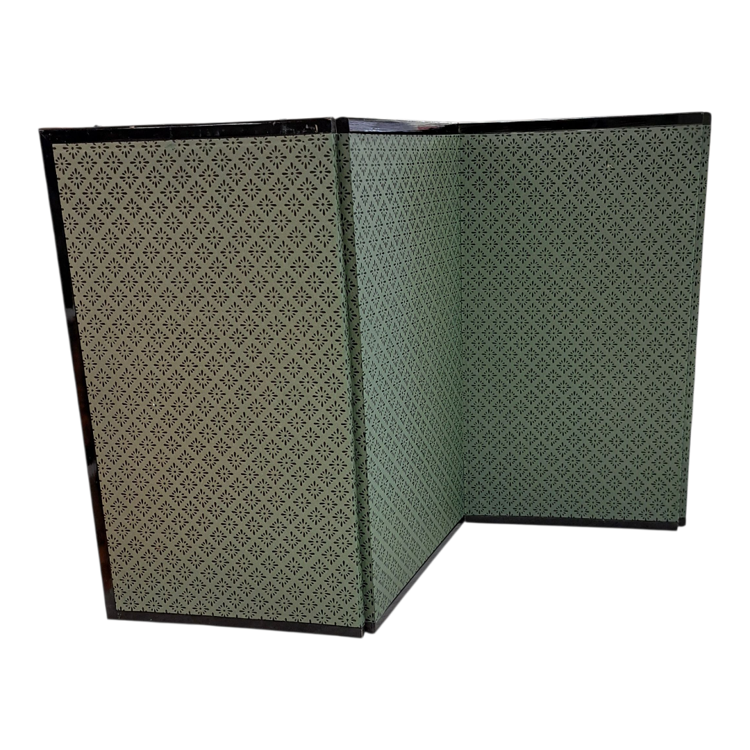 Large Antique Asian Screen