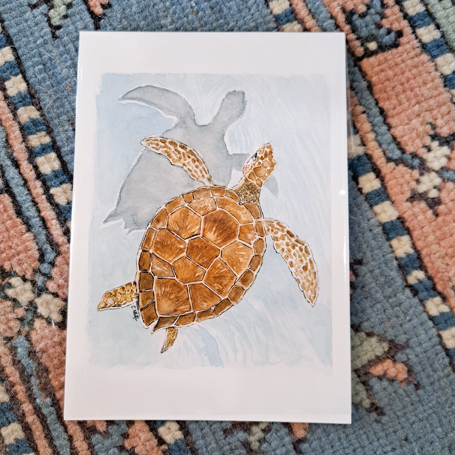 "Turtle" Painting by Chandler Neal