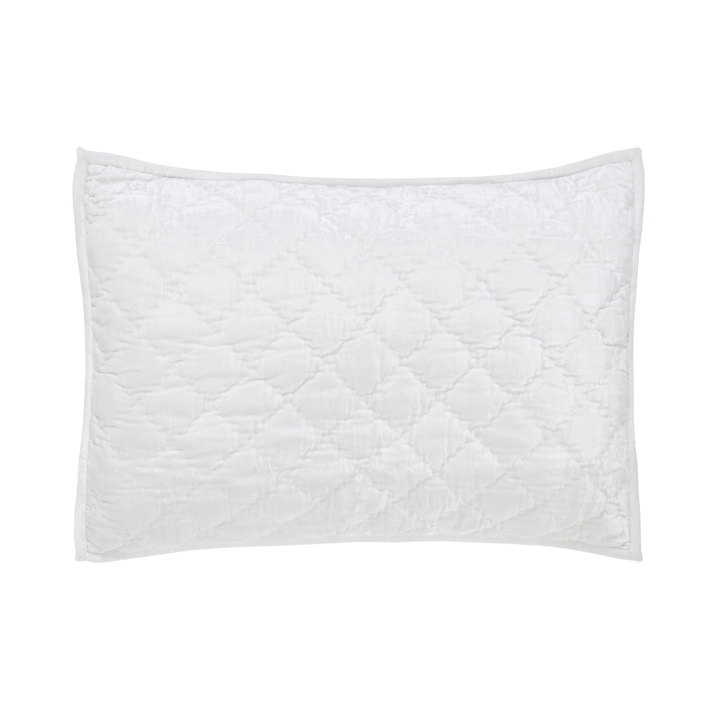 Clermont Sham in White