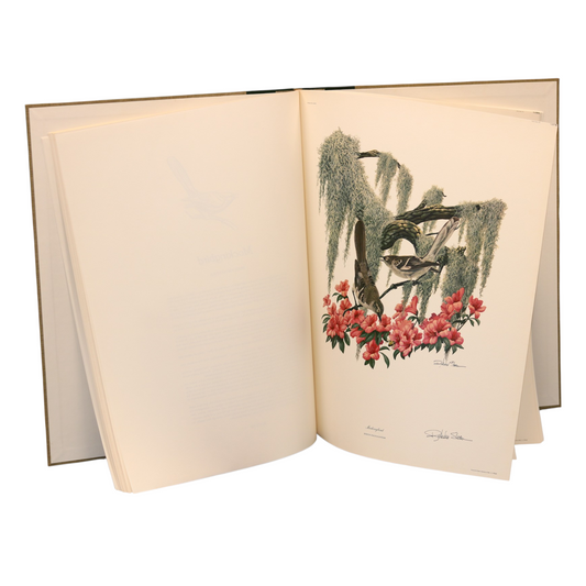 Jumbo Coffee Table Book
