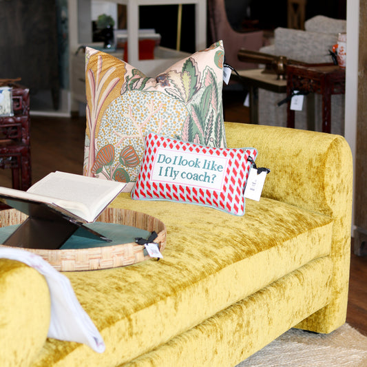 Fly Coach Needlepoint Pillow