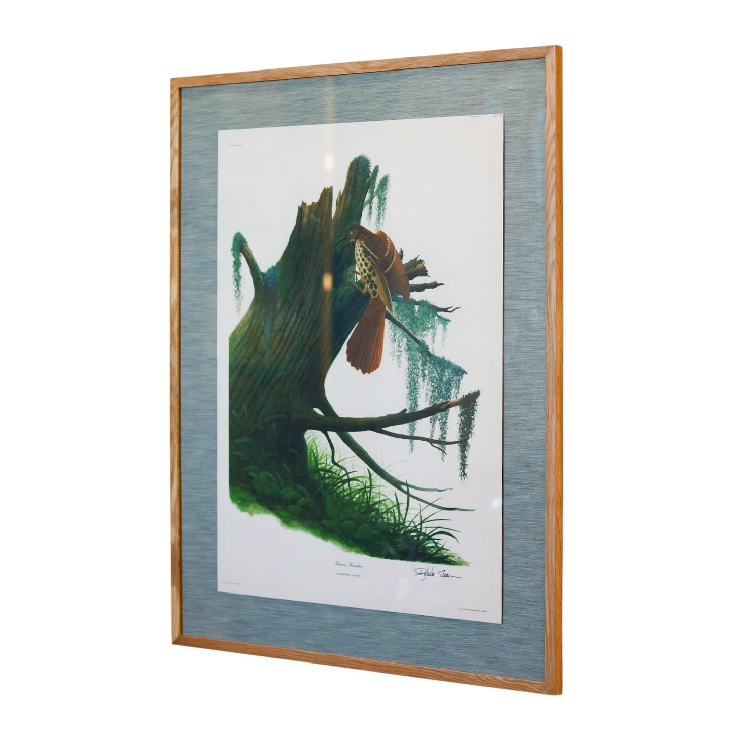 28" x 34" Custom Framed Bird Artwork