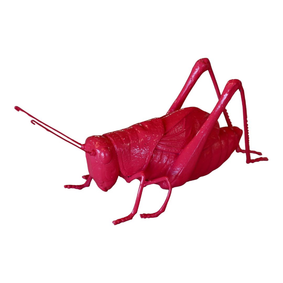 Fuschia Resin Cricket