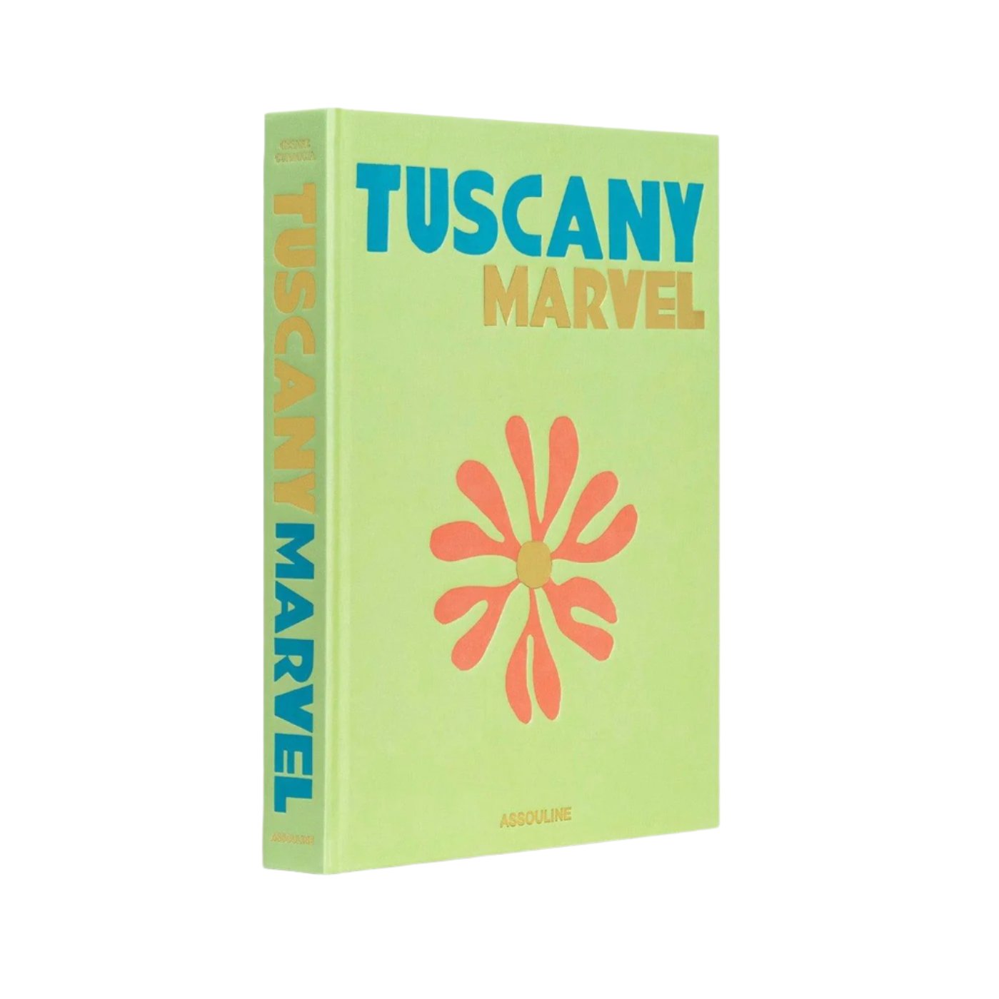 Travel Series Coffee Table Books