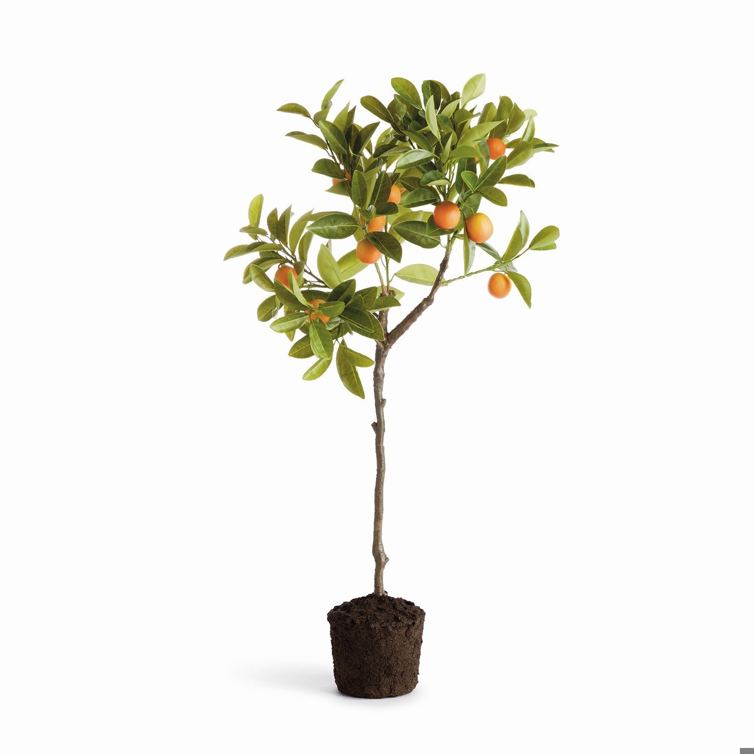 Faux Plants & Arrangements