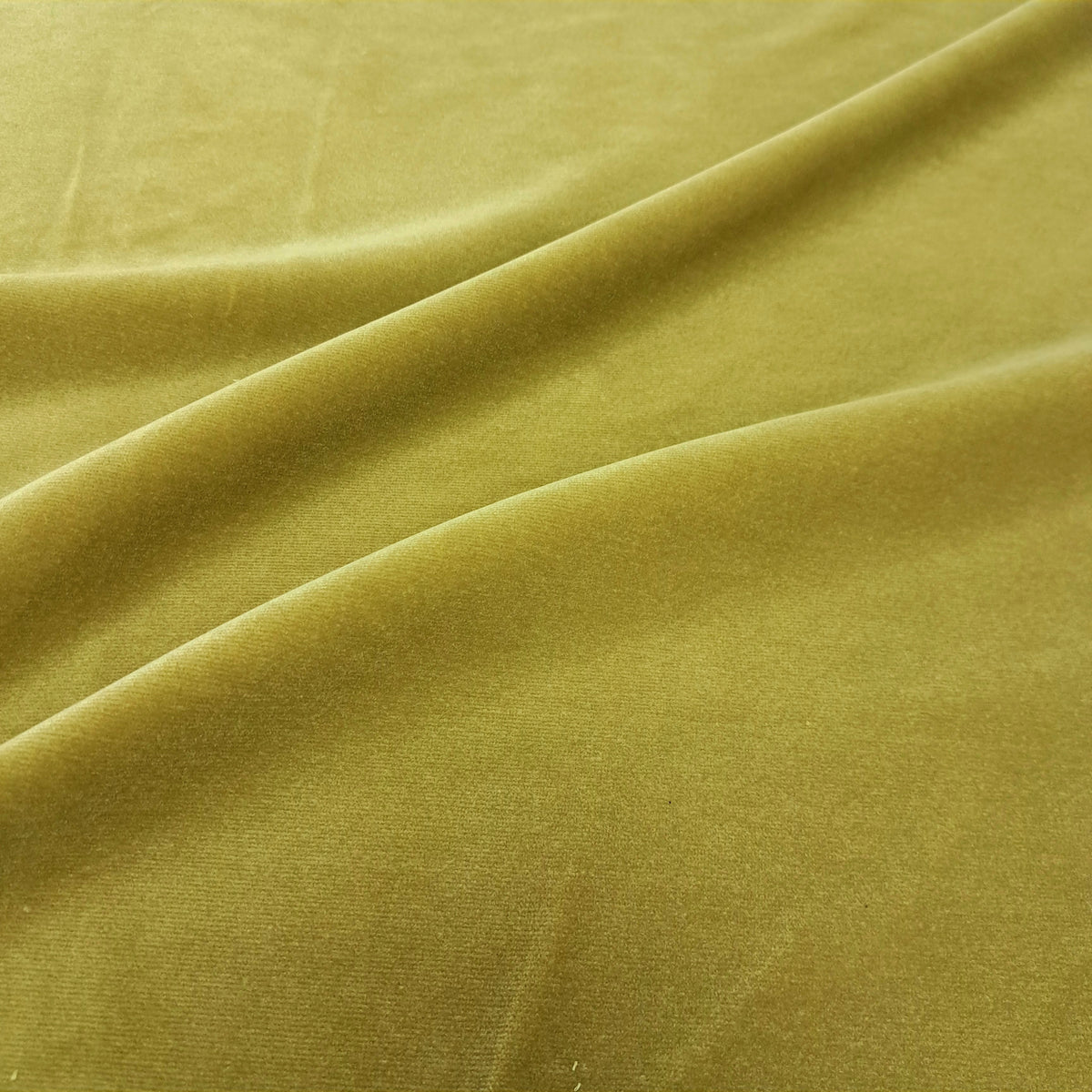 Linden Citron/Chartreuse #4-132146