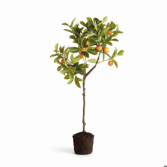 Faux Kumquat Tree Drop-In