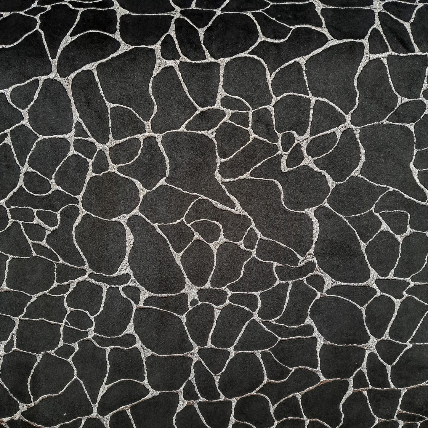 Noir Dare Velvet Fabric
