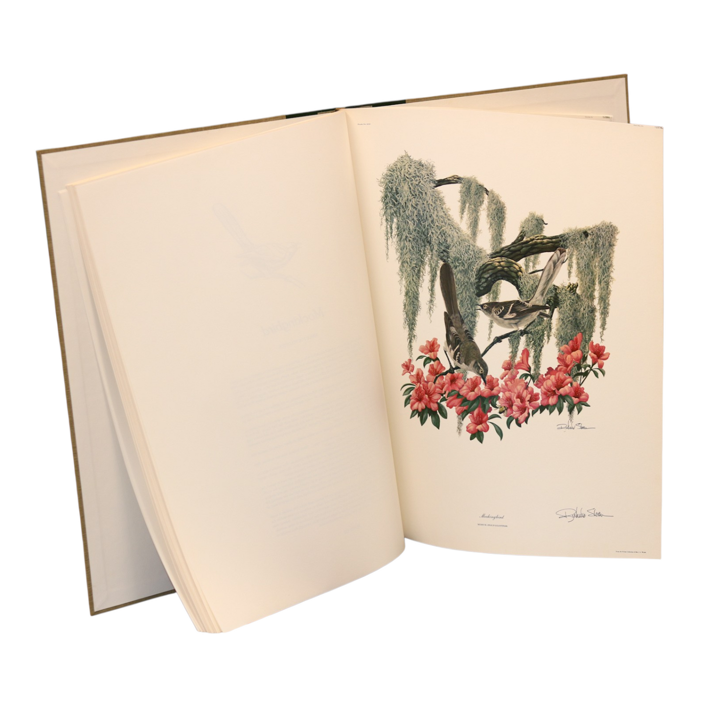 Jumbo Coffee Table Book
