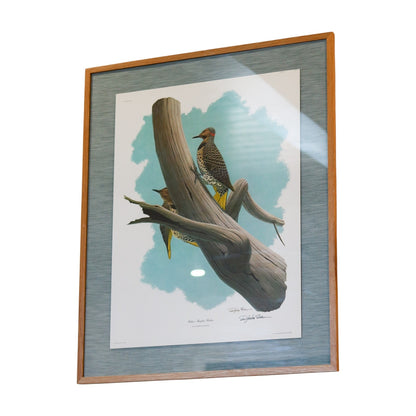 28" x 34" Custom Framed Bird Artwork