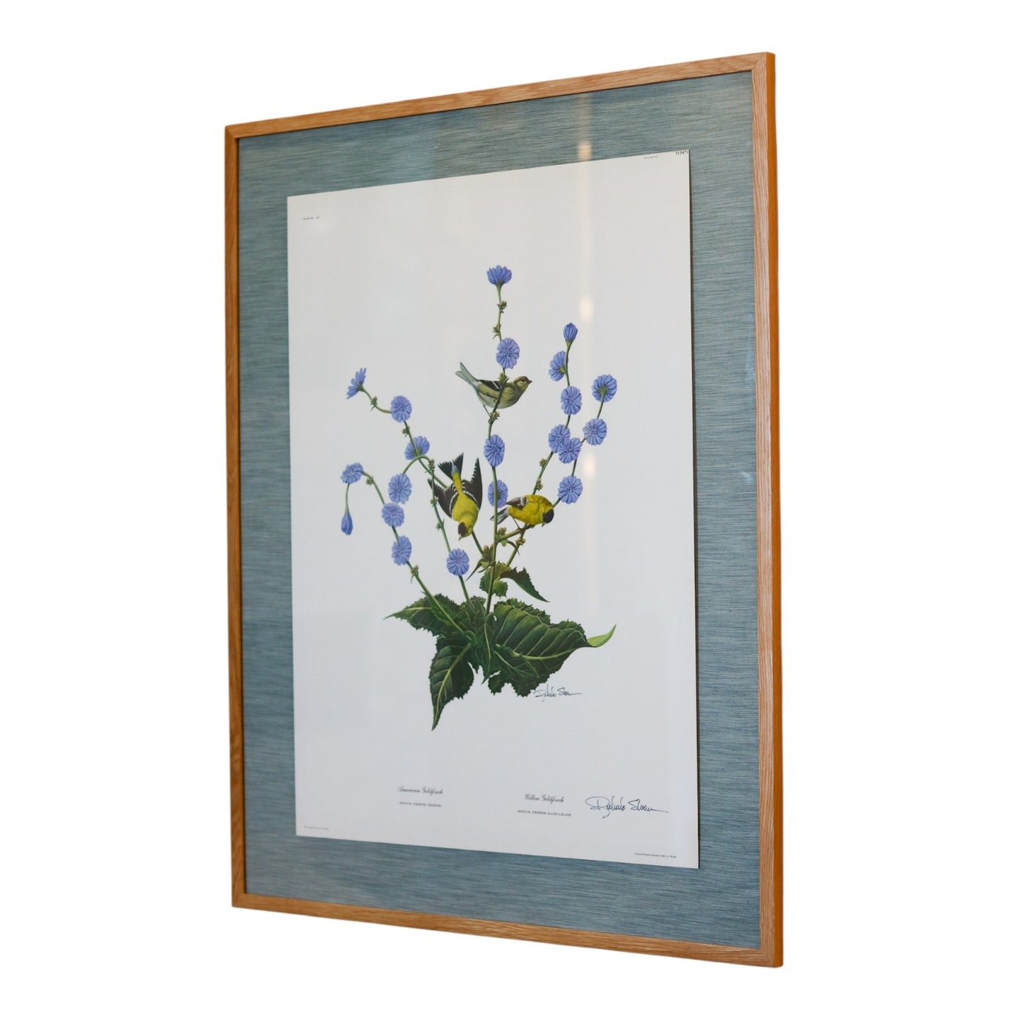 28" x 34" Custom Framed Bird Artwork