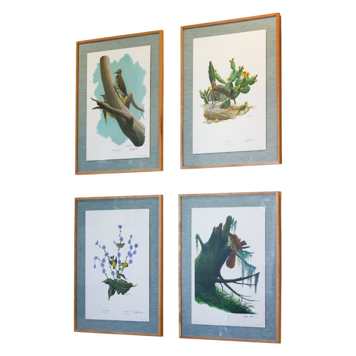 28" x 34" Custom Framed Bird Artwork