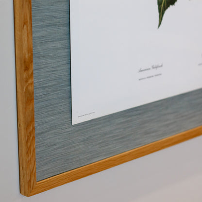 28" x 34" Custom Framed Bird Artwork