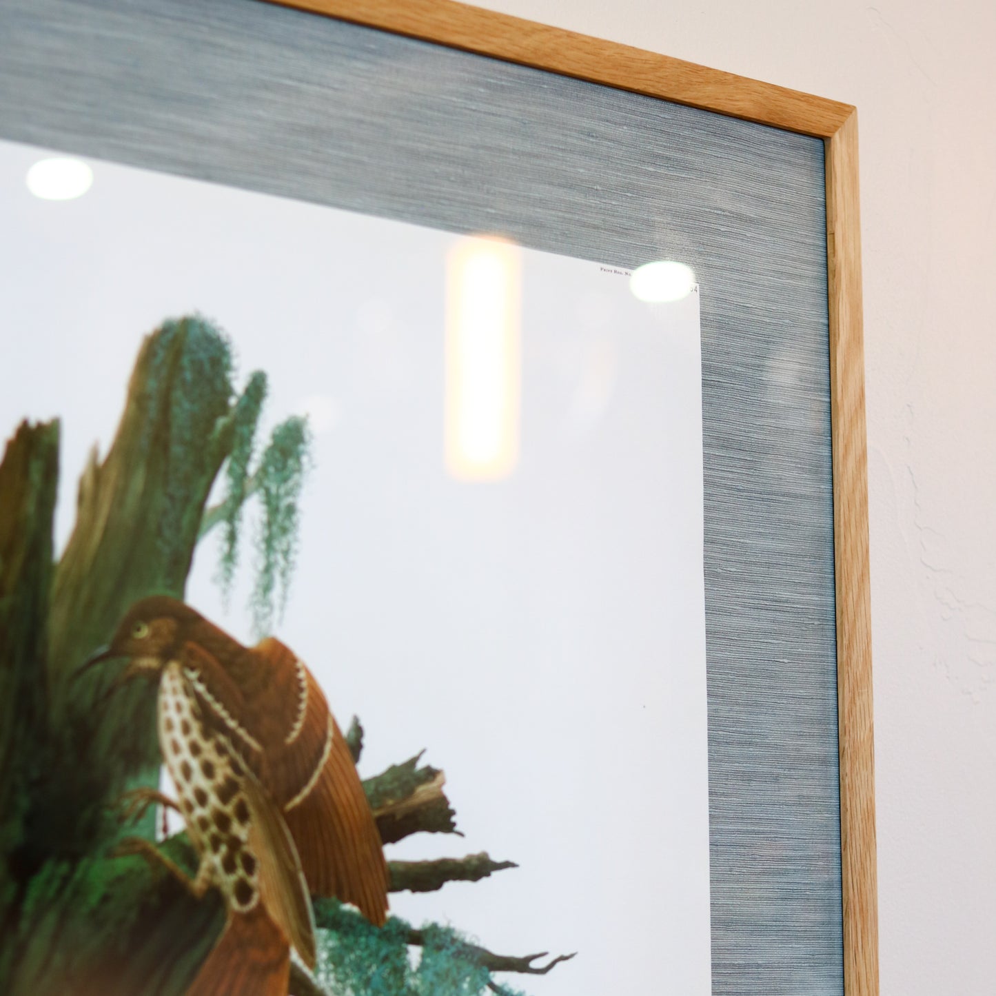 28" x 34" Custom Framed Bird Artwork