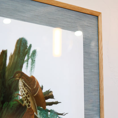 28" x 34" Custom Framed Bird Artwork
