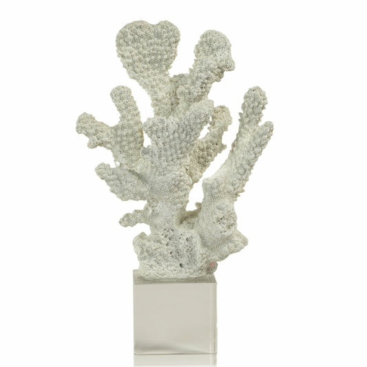 White Coral on Acrylic Base
