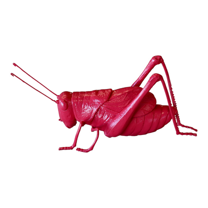 Fuschia Resin Cricket